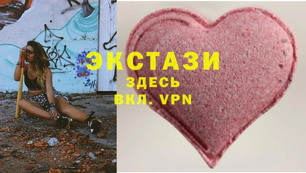 СК Зеленокумск