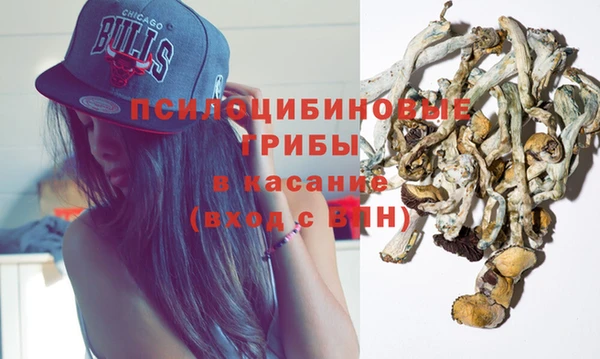 СК Зеленокумск