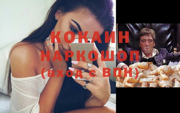СК Зеленокумск