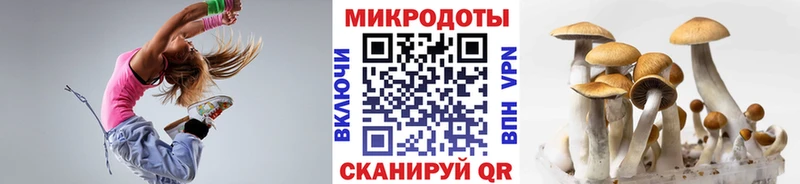 Псилоцибиновые грибы ЛСД  Каменногорск 