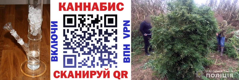 МАРИХУАНА THC 21% Каменногорск